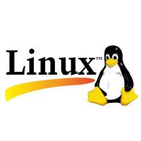 新手指南：如何解决 Linux 服务器 `df -h` 显示 100% 磁盘使用率问题